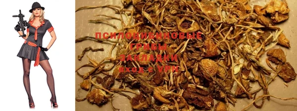 таблы Михайлов