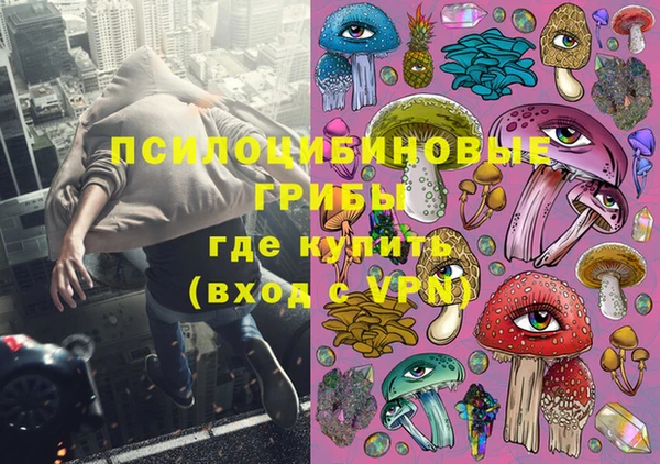 спиды Медвежьегорск