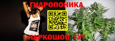 PSILOCYBIN Апшеронск