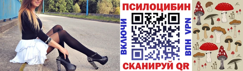 Псилоцибиновые грибы GOLDEN TEACHER магазин Чернушка