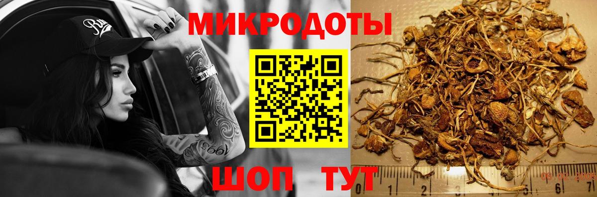 Псилоцибиновые грибы ЛСД  Галлюциногенные грибы мухоморы  Вход с VPN  Чернушка 
