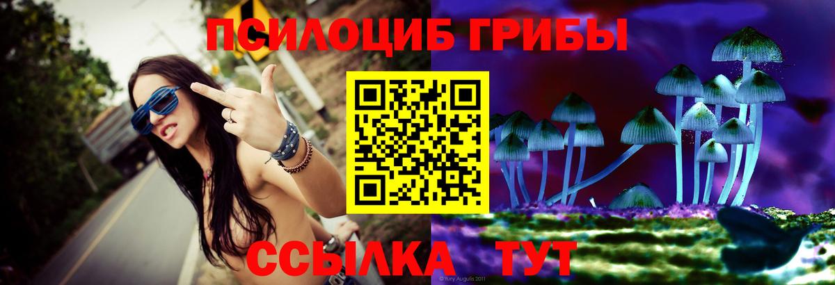 Галлюциногенные грибы мицелий  Чернушка 